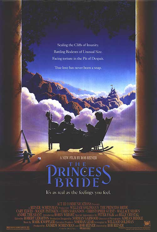 Poster promocional del film